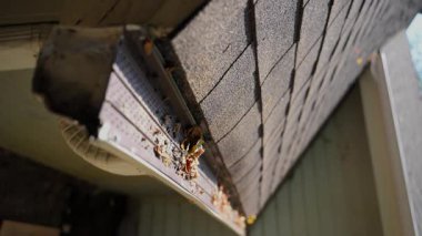 Toprak, enkaz, çatı oluğundan dökülen yapraklar tıkanmış bir sorun haline geldi. Sabit çekimi kapat. Yüksek kalite 4k görüntü