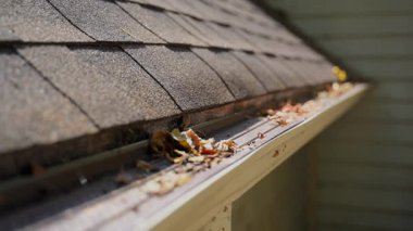 Çamur, enkaz, çatı oluğundan dökülen yapraklar tıkanmış bir sorun haline geldi. Sabit çekimi kapat. Yüksek kalite 4k görüntü