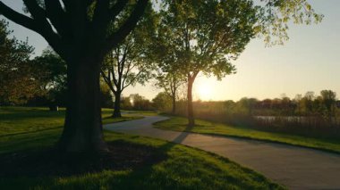 Yazın park et, halka açık bir parkta rahatlama anının tadını çıkar. Geniş görüş açısı. Yüksek kalite 4k görüntü