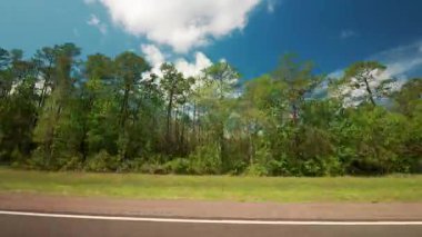 Aydınlık güneşli bir günde otoyolda araba kullanan yolcu tarafından POV görüntüsü. Ön yolcu koltuğunun yan görüntüsü. Yüksek kalite 4k görüntü