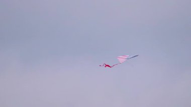 Flying kite in USA flag colors at summer day . High quality 4k footage