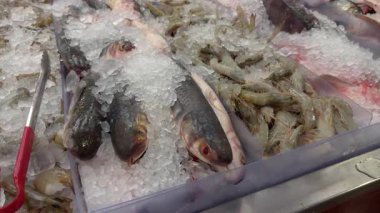 Seafood market display with fresh fish and shrimp placed on crushed ice inside a container. A pair of red-handled tongs rests on the left side, customer self-service. High quality 4k footage