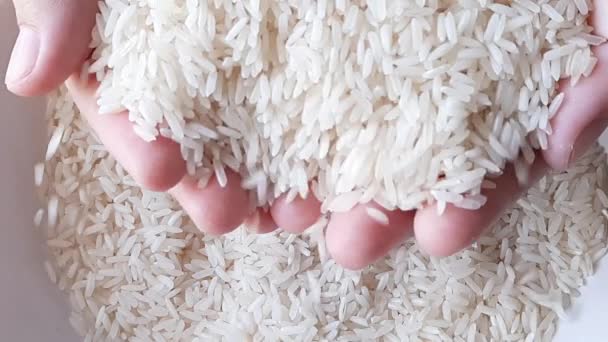 Reis Fließt Von Den Händen Den Teller Draufsicht — Stockvideo