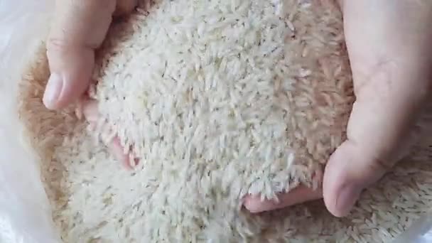 米を握る手のクローズアップショット — ストック動画