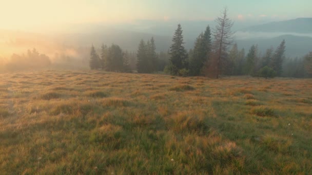 Carpathian Dağlarında Gündoğumunda Video Telifsiz Stok Çekim