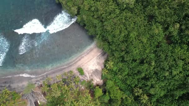 Κάτοψη Μαύρη Αμμώδη Παραλία Ακτή Ινδικού Ωκεανού Μπαλί Ινδονησία Έννοια — Αρχείο Βίντεο