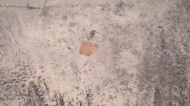 Kumsaldaki plaj havlusunda üst manzara ve siyah kumlu sahilde toquilla pipetli panama şapkası, Hint Okyanusu kıyısı, Bali, Endonezya. Yaz tatili kavramı. Drone yükseliyor ve eğiliyor.