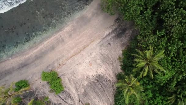 砂浜のビーチタオルと黒い砂浜の藁パナマ帽 インド洋の海岸線 インドネシア 夏休みの概念 ドローンが地上を飛んでいます — ストック動画