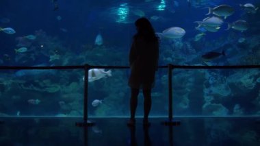 Bir kadın akvaryumun önünde duruyor ve balıkların yüzüşünü, deniz yaşamını, sükunet kavramını izliyor.