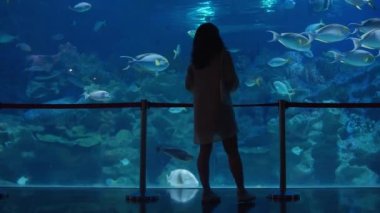 Akvaryum boyunca yürüyen bir kadın büyük cam duvar boyunca balıkların yüzüşünü ve vahşi deniz canlılarının fotoğraflarını çekişini izler..