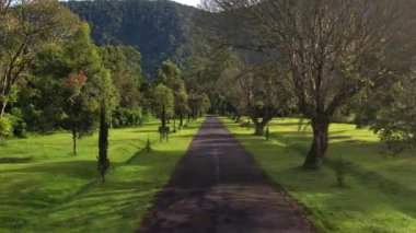 İHA ile çekilen yol, Bali köyünde sanatçı takibi. Tropikal yeşil orman ve tepelere barışçıl bir yol. Seyahat, tatil, dinlenme ve meditasyon