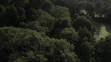 Yeşil ağaçların, tropikal ormanların ve tepelerin üzerinde uçan hava aracı. Endonezya 'nın güzel doğasının sinematik manzarası, Bali, Handara. Tatil ve tatil yeri kavramı