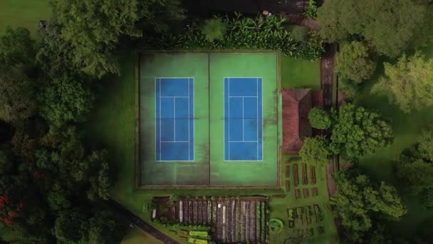 ドローンは家のある緑のヤシの木に囲まれた2つのテニスコートを撃った トップ空中カメラが飛んで 屋外スポーツ レクリエーションや施設のための緑のフィールドの景色 — ストック動画
