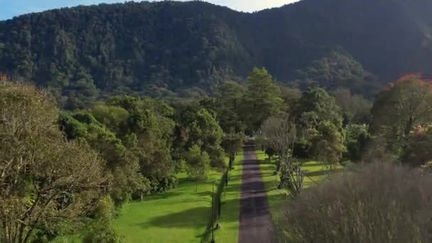 印度尼西亚自然的空中射击和绿树 巴厘岛Ubud村后方的无人机俯瞰 热带森林和小山 旅行和假日的概念 — 图库视频影像