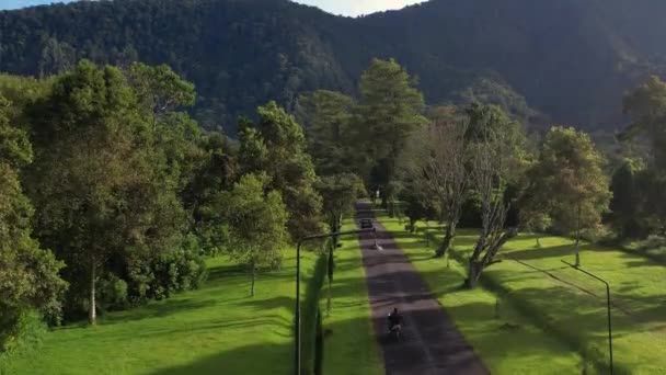 Luchtfoto Van Indonesische Natuur Groene Bomen Drone Vliegend Weg Groene — Stockvideo