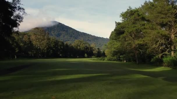 Κηφήνας Πυροβόλησε Πετούν Πάνω Από Πράσινο Γήπεδο Γκολφ Τροπικό Δάσος — Αρχείο Βίντεο