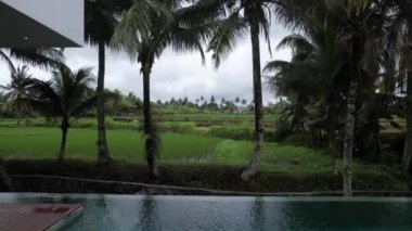Yeşil çeltik çeltik, havuz ve teras üzerinde uçan havadan dron manzaralı su bitkileri. Asya 'nın panoramik manzarası. Asya, turizm ve tarım kavramı
