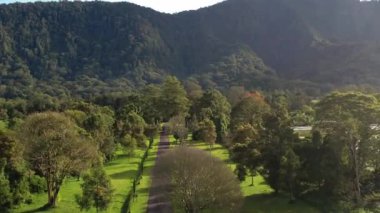 Endonezya doğasının, ağaçların ve sanatçıların hava görüntüleri. İnsansız hava aracı Bali 'deki Ubud köyünden uzaklaşıyor. Tropik yeşil orman ve dağ. Seyahat ve tatil kavramı