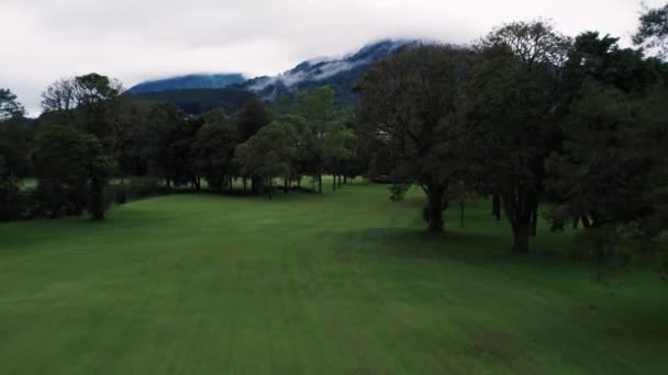 Vista Aérea Campo Verde Montanha Sob Céu Nublado Drone Tiro — Vídeo de Stock