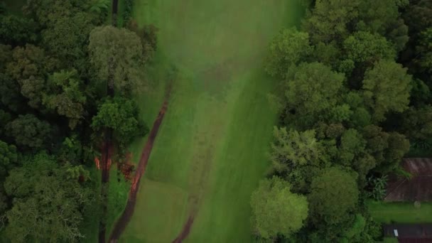 Κάτοψη Του Drone Που Φέρουν Πάνω Από Πράσινο Γρασίδι Σπίτια — Αρχείο Βίντεο