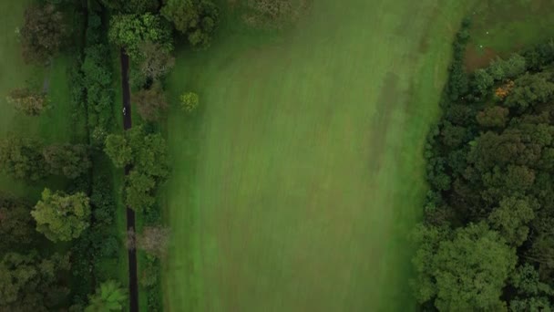 グリーンフィールドと草の上を飛行するドローン 農村地域の地面と森 農地と農業について エコロジーの概念 — ストック動画