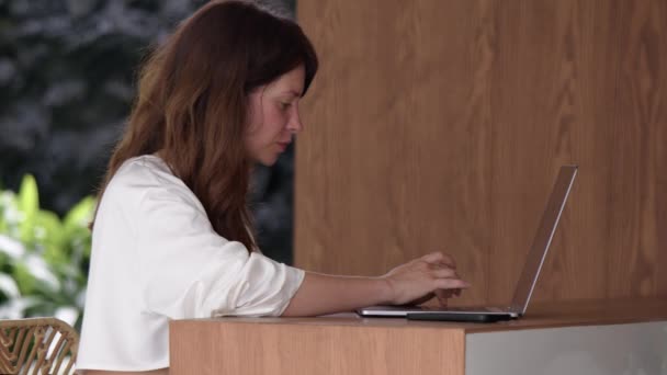 Attraktive Geschäftsfrau Die Laptop Sms Schreibt Nebenbei Einem Café Oder — Stockvideo