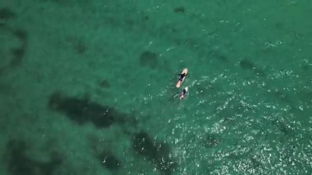 Vue Aérienne Océan Avec Des Vagues Des Surfeurs Ligne Bali — Video