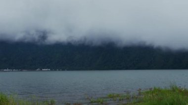 Kuzey Bali 'deki Munduk bölgesinin manzarası, ağaçların tepesinde sis. Yüksek kalite 4k görüntü