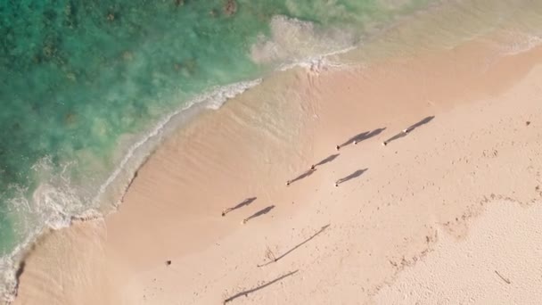 Aerial Top View Shot Grupy Ludzi Spacerujących Wzdłuż Wybrzeża Oceanu — Wideo stockowe