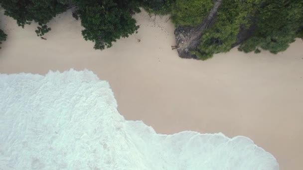 Avião Drone Olho Pássaro Tiro Praia Rochosa Com Penhasco Oceano — Vídeo de Stock