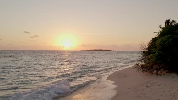Океанские Волны Разливаются Тропическом Песчаном Пляже Золотом Свете Ослепительное Солнечное — стоковое видео