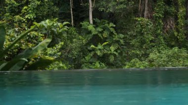 Tropikal ormanda yağmur, sonsuz havuz ve ormanlar, sükunet kavramı, palmiye ağaçları, kopyalama alanı 