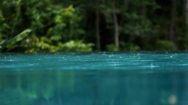 Regen Tropisch Bos Open Infinity Zwembad Jungles Concept Van Rust — Stockvideo