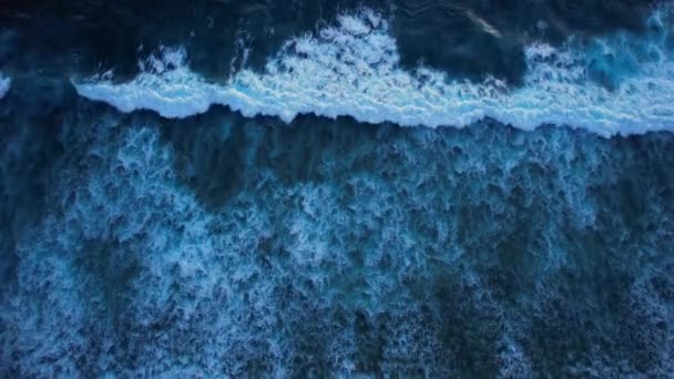 Dalgalar Deniz Suyu Yüzeyi Yüksek Kaliteli Video Kuşları Okyanus Dalgalarını — Stok video