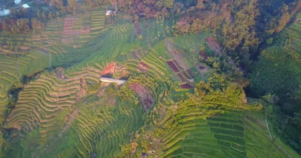 Ruteng Doğu Nusa Tenggara Endonezya Çevresindeki Hava Manzarası — Stok video