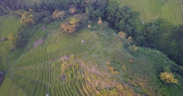 インドネシア 東ヌサ テンガラ周辺の空中眺望 — ストック動画