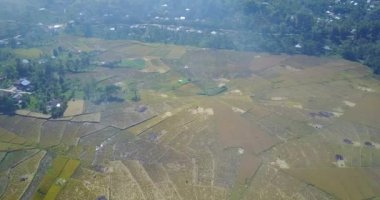 Ruteng, Doğu Nusa Tenggara, Endonezya yakınlarındaki hasat mevsiminde Örümcek Pirinç Tarlaları 'nın hava görüntüsü. 