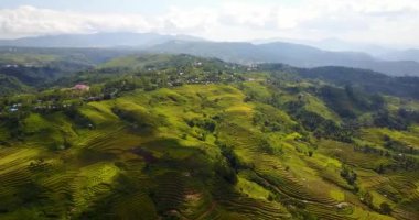 Ruteng, Doğu Nusa Tenggara, Endonezya 'daki güzel Lodok Cimpar Carep pirinç tarlalarının hava görüntüsü..