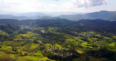 Ruteng, Doğu Nusa Tenggara, Endonezya 'daki güzel Lodok Cimpar Carep pirinç tarlalarının hava görüntüsü..