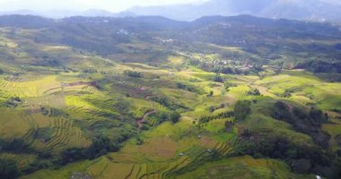 Ruteng, Doğu Nusa Tenggara, Endonezya 'daki güzel Lodok Cimpar Carep pirinç tarlalarının hava görüntüsü..