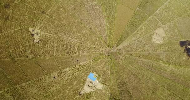Letecký Pohled Pole Spider Rice Během Sklizňové Sezóny Poblíž Rutengu — Stock video