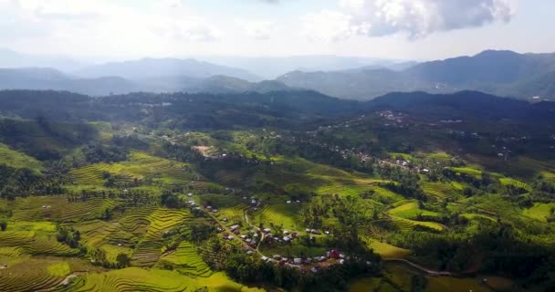 インドネシア ルテンの郊外にある美しいロック キムパル テラス田の空中眺望 — ストック動画