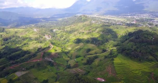 印度尼西亚东努沙登加拉省Ruteng郊外美丽的Lodok Cimpar Carep梯田空中景观 — 图库视频影像