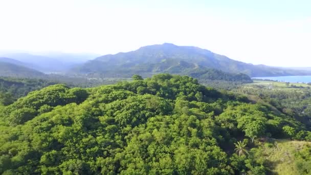 Doğu Nusa Tenggara Endonezya Daki Paga Köyündeki Pentai Paga Nın — Stok video