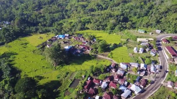 Aldeia Aérea Torno Moni Village Perto Parque Nacional Kelimutu East — Vídeo de Stock