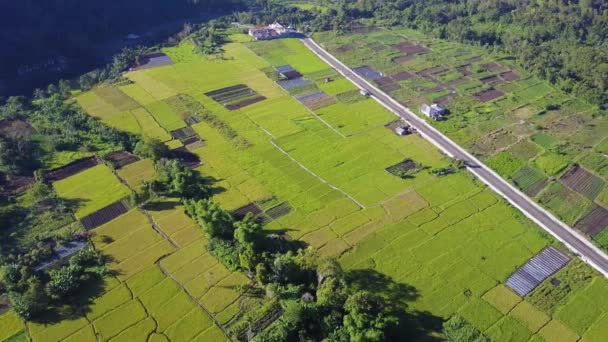 印度尼西亚东努沙登加拉Kelimutu国家公园附近Moni村周围的空中村庄 — 图库视频影像