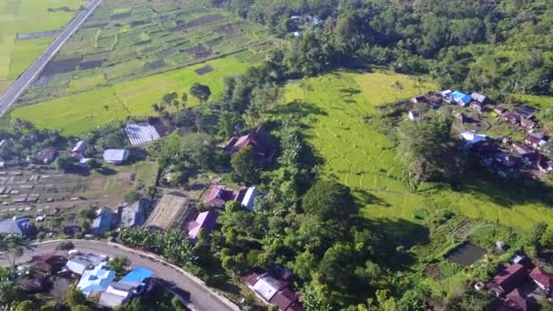 印度尼西亚东努沙登加拉Kelimutu国家公园附近Moni村周围的空中村庄 — 图库视频影像