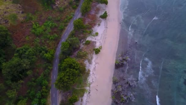 Αεροφωτογραφία Της Παραλίας Kujuwulu Κοντά Στο Maumere Στην Ανατολική Nusa — Αρχείο Βίντεο