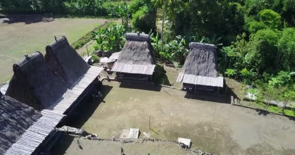 印度尼西亚东努沙登加拉Luba传统村的Drone视图 — 图库视频影像