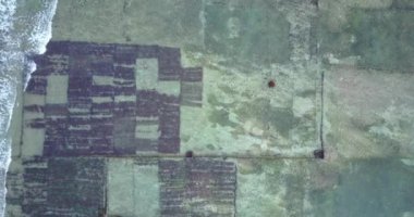 Suana 'daki deniz yosunlarının Nusa Penida Adası, Bali, Endonezya' daki hava görüntüsü. 